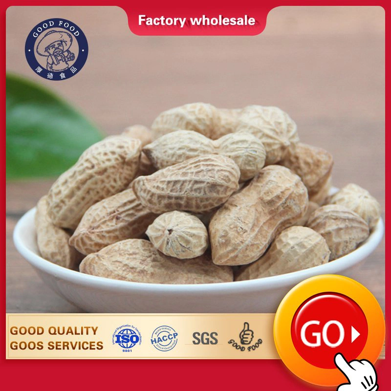 Natural Chinese Original Flavor Salted Taste Roasted Peanuts in Shell