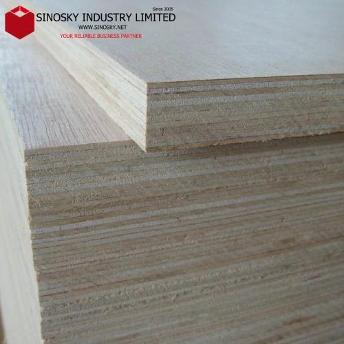 1220X2440mm, 1250X2500mm 6mm 8mm 12mm 15mm 18mm Birke Okoume Pine Bintangor Bleistift Zeder Eukalyptus Kern Hartholz Sperrholz