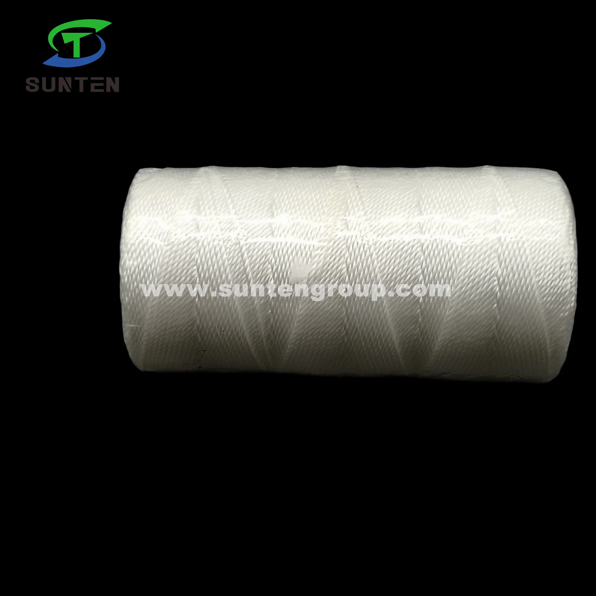 Factory Price High Tenacity White PA/PE/PP/Polyester/Nylon/Polyethylene/Polypropylene Plastic Twisted/Braided/Braid/Baler/Thread/Packing Line/Fishing Net Line