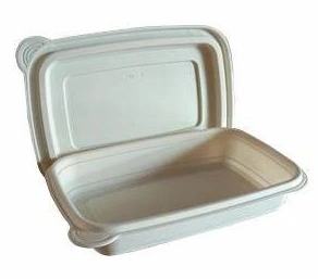 Customizable Disposable Lunchbox Three-Cell Take Away Packaging Box Degradable Food Container Corn Starch-Based Meal Box