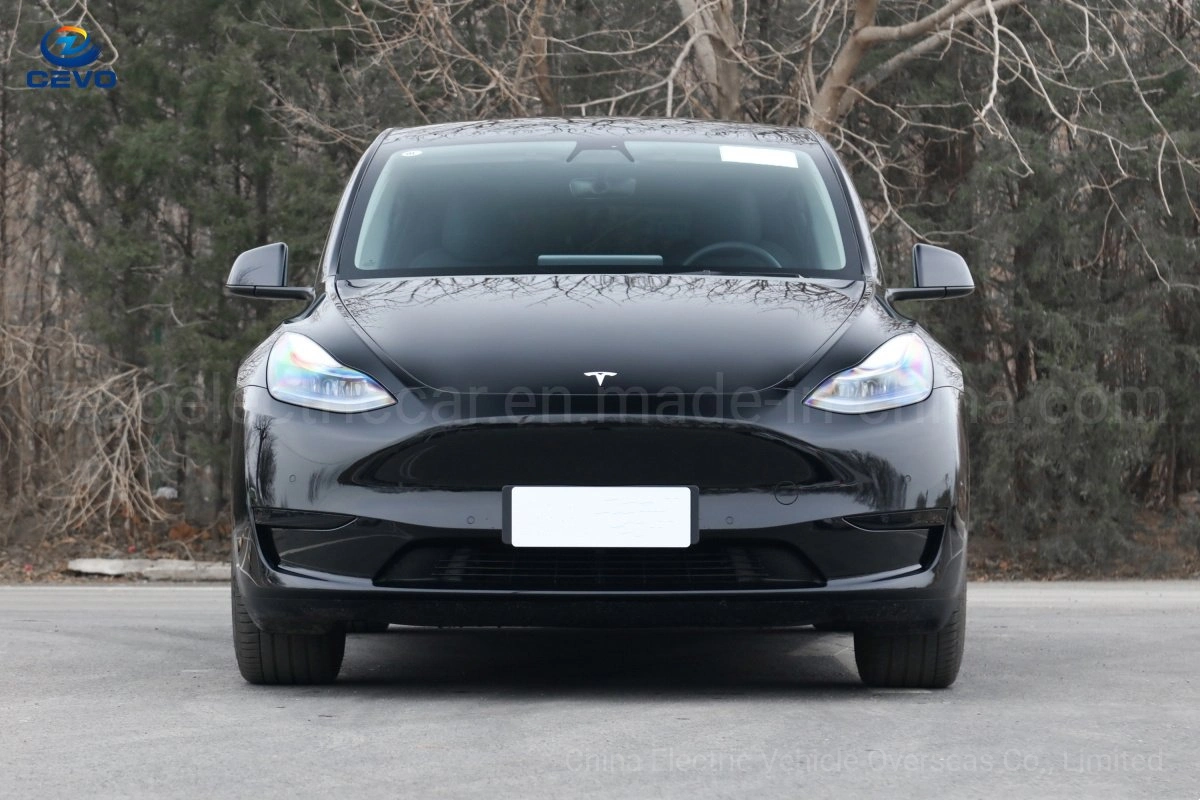 Smart Low Cost Luxurious Autopilot Best Range New Energy Stock Elon Musk Cheapest Efficiency Electric Vehicles EV Model Y Electric Car for Sale