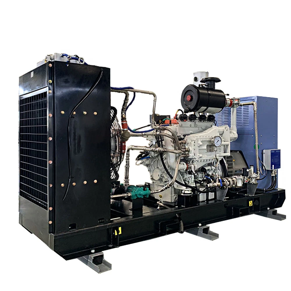 50kw Man Natural Gas Generator Generac with E0834e302