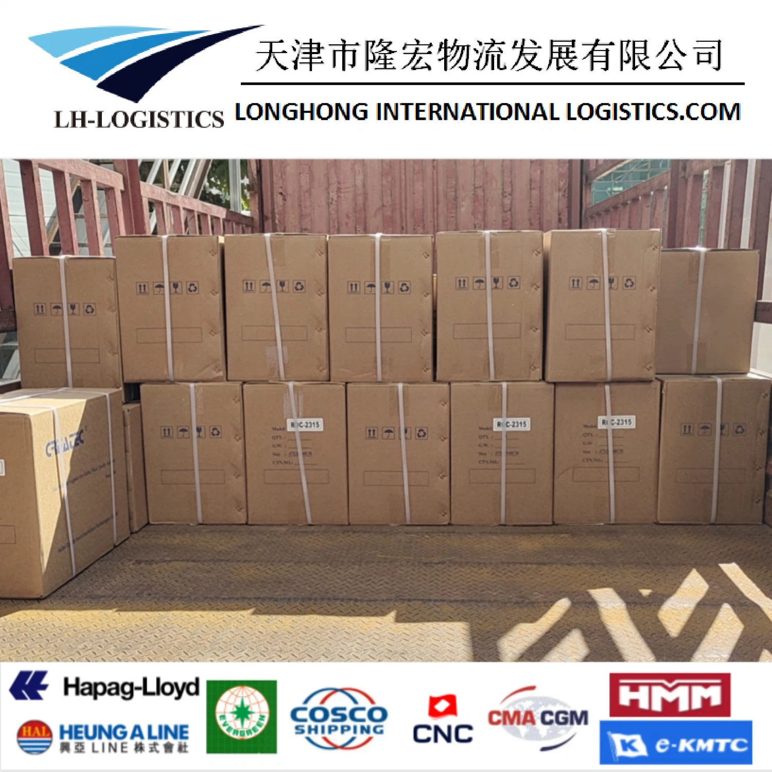 Amazon Fba DDP Sea Freight Logistics Services From China to New Zealand, Australia