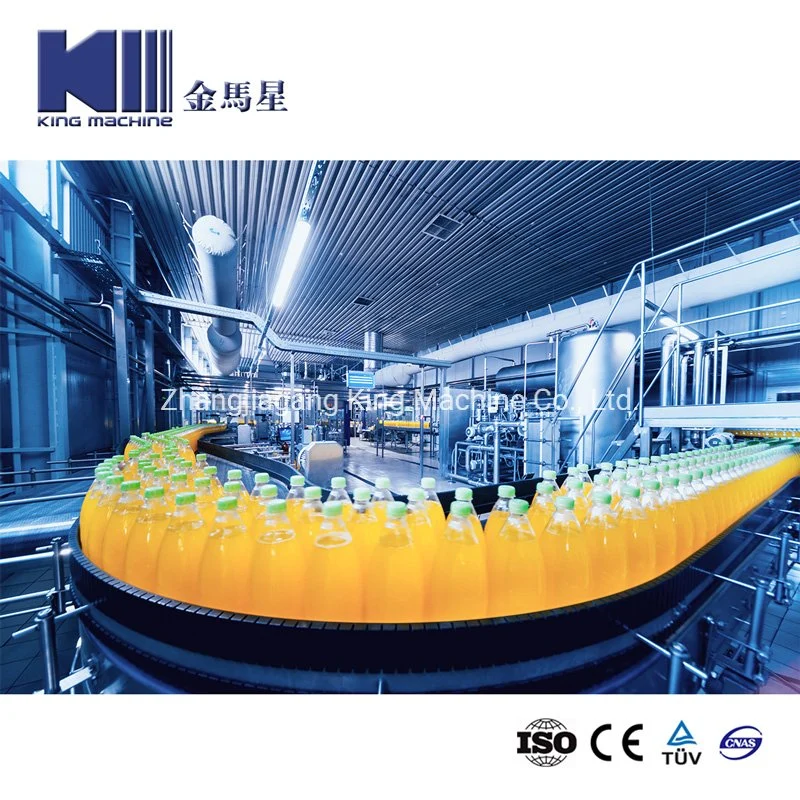 Complete Line Automatic Pet Bottle Non-Carbonated Coconut Water Beverage Clear Orange Juice Fruit Jam Sauce Beer Making Filling Bottling Capping Packing Machine