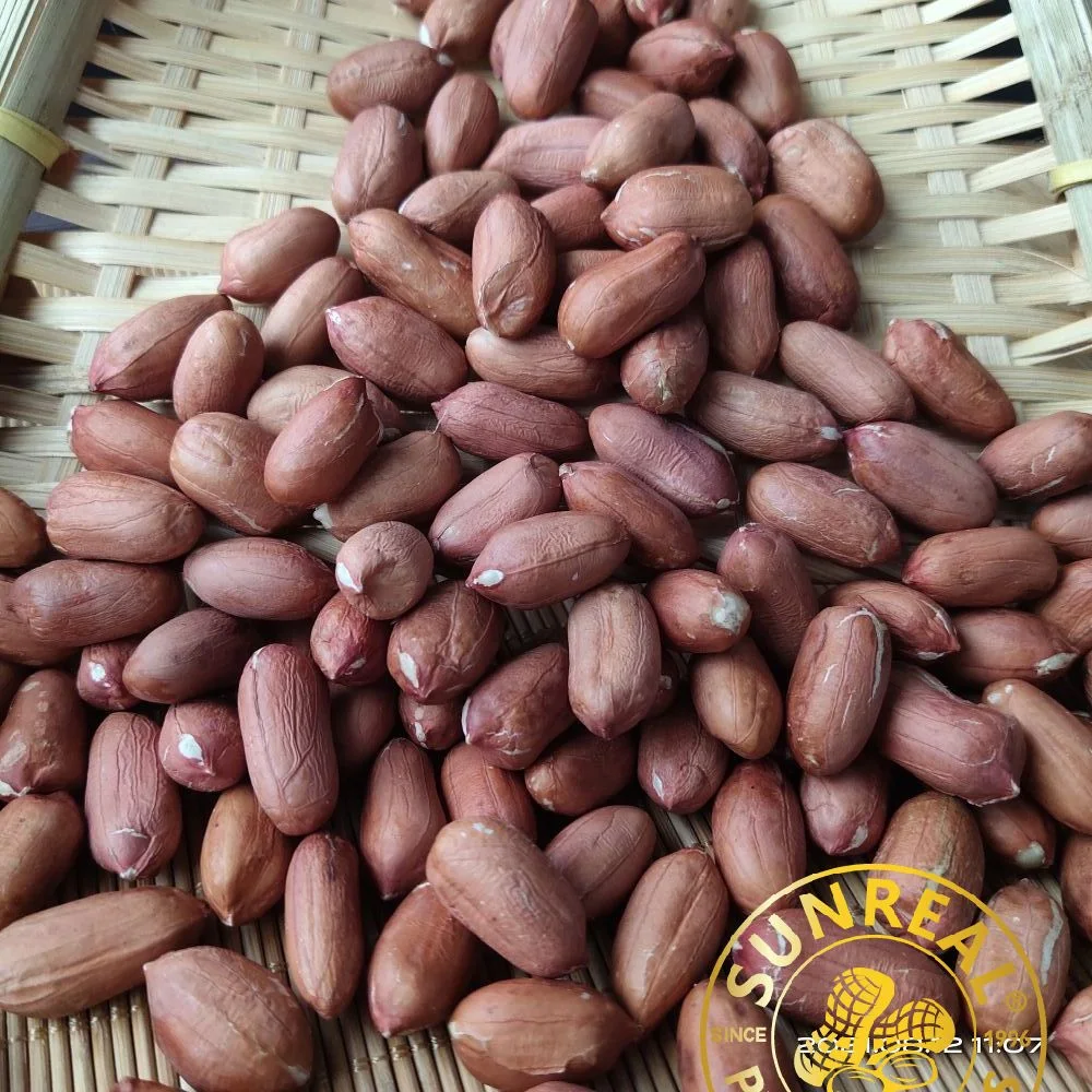 Raw Peanut Kernels Virginia 28/32 China/High quality/High cost performance  Peanut Seeds