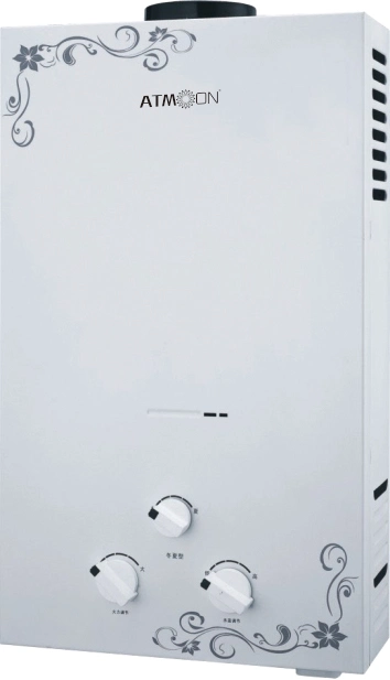 Multiple Protection Energy Saving Tankless Gas Water Heater