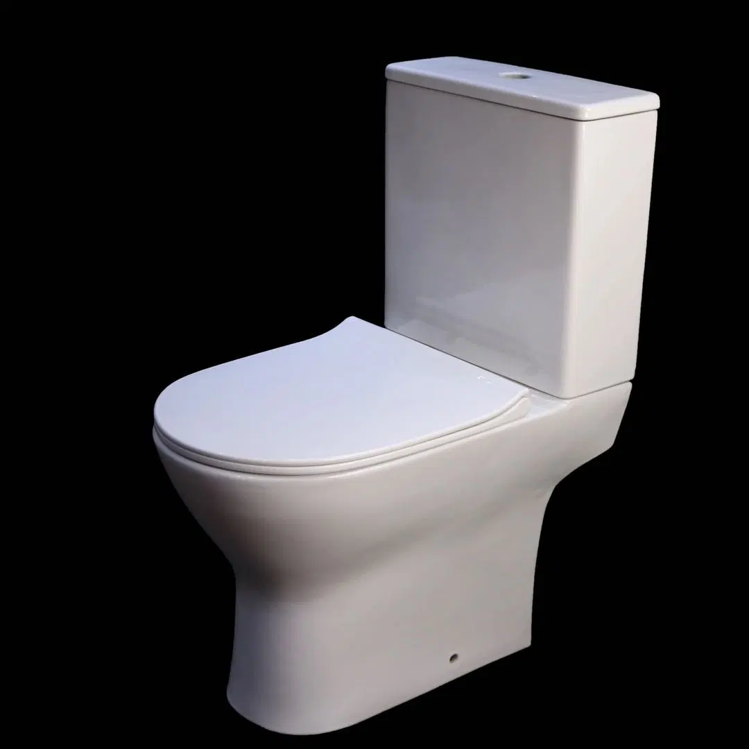 Sairi Floor Mounted Dual-Flush PP Soft Close Cover Ceramic Chinese Sanitary Ware Toilet