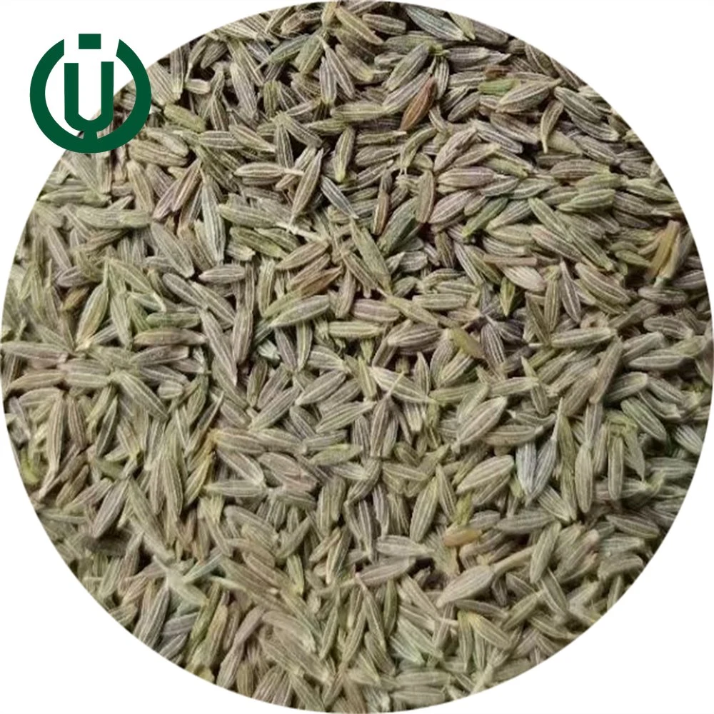 Wholesale Natural Dried Cumin Seed Food Grade Natural Spices