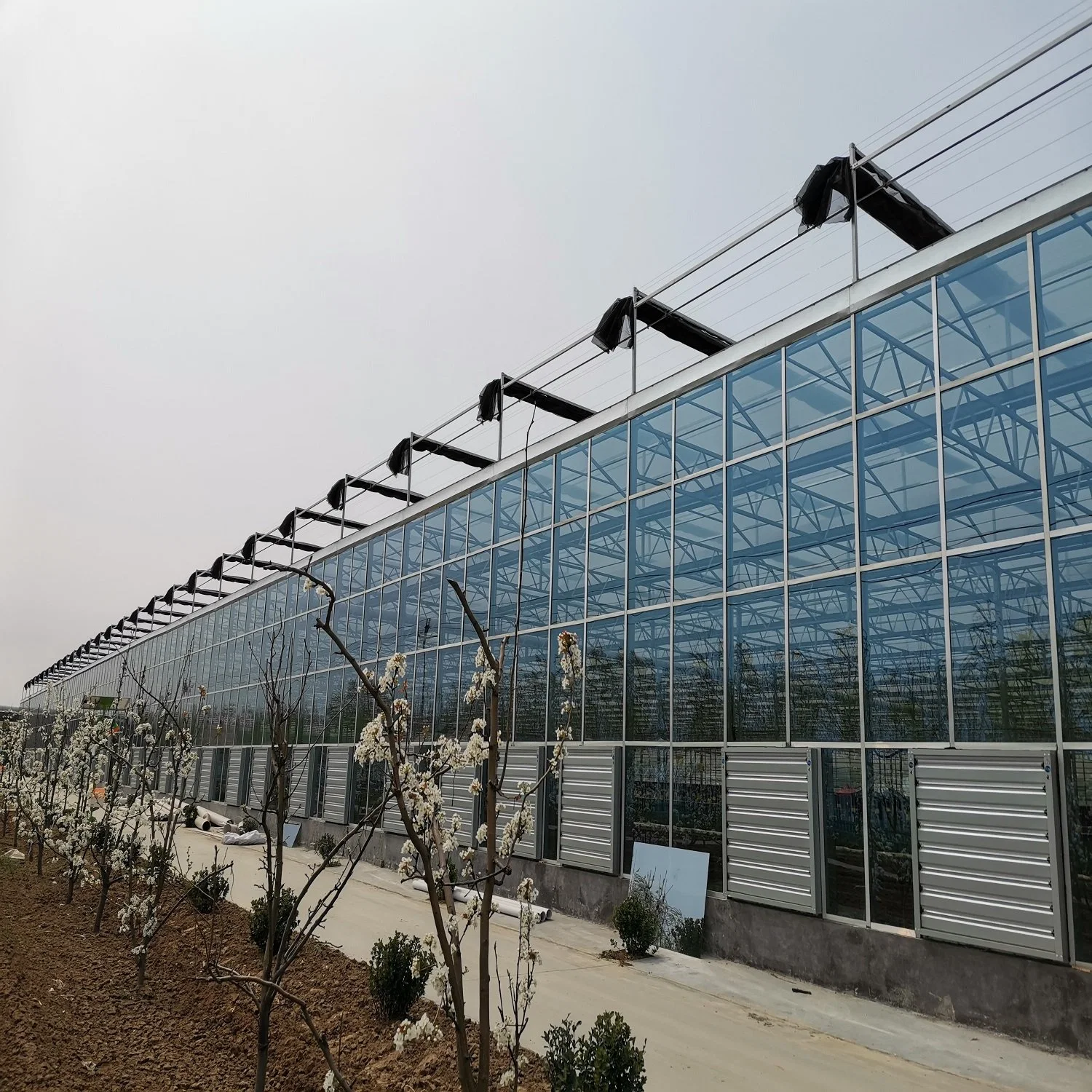 &#160;Serres en verre de la culture hydroponique agricoles clés en main&#160;pour le système de culture de légumes