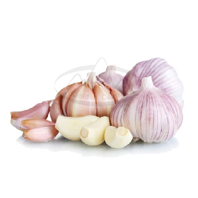 China/Chinese New Crop Hot Sales Best Fresh Garlic with Best Price