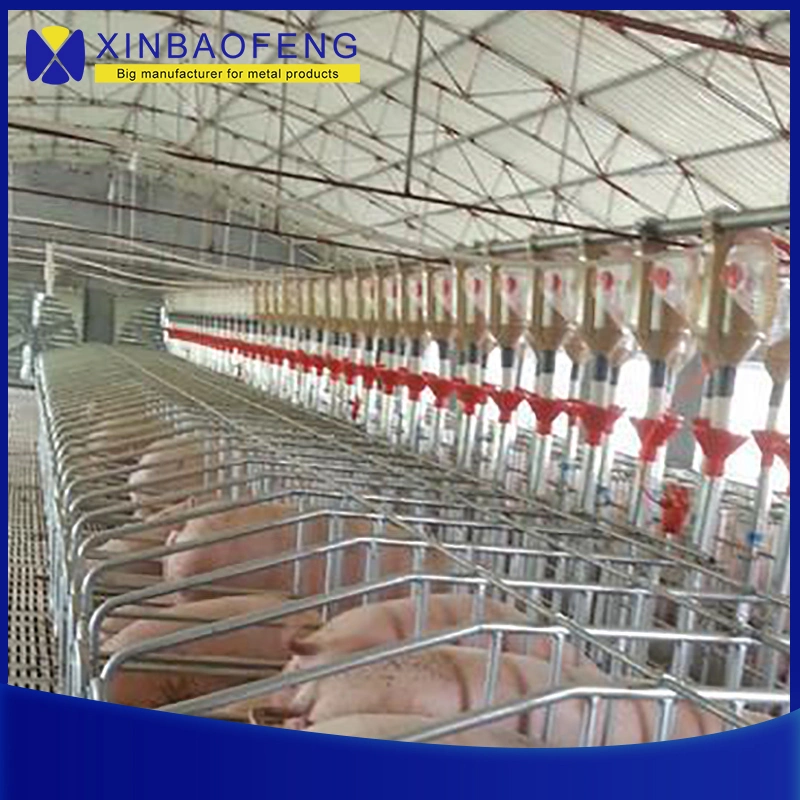 Pig Farm Equipment Pig Fattening Pen Piglet Growth Crate and Hot DIP Galvanized Pig Farrowing Pens with New Design