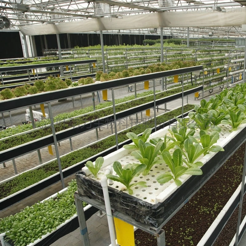 الخضار/الفاكهة الخضروات المخصصة منزل يستخدم Soilless زراعة نظام Nft Hydroropics مع أنبوب