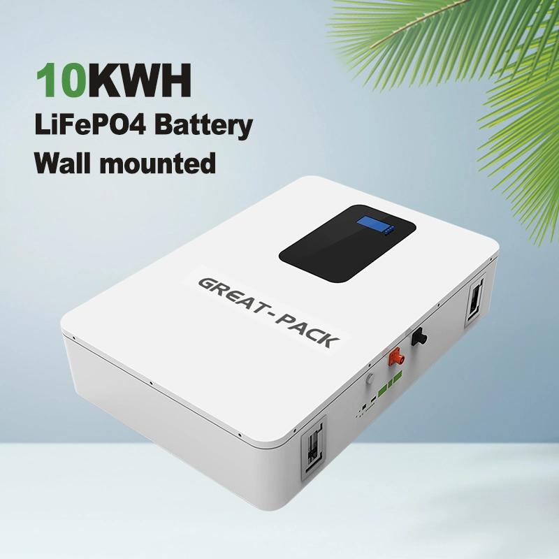 Lithium LiFePO4 Battery 51.2V 200ah Lithium Battery Solar Storage 5kw Kit