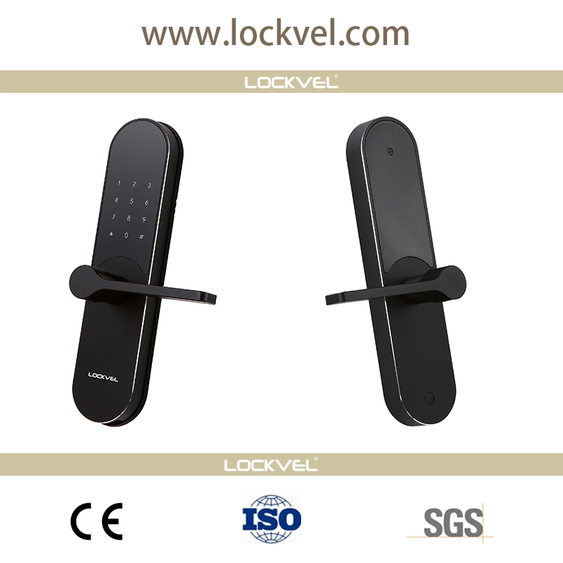 Electronic Key Digital Deadbolt Door Code Handle Lock Bluetooth APP Smart Home Door Lock WiFi