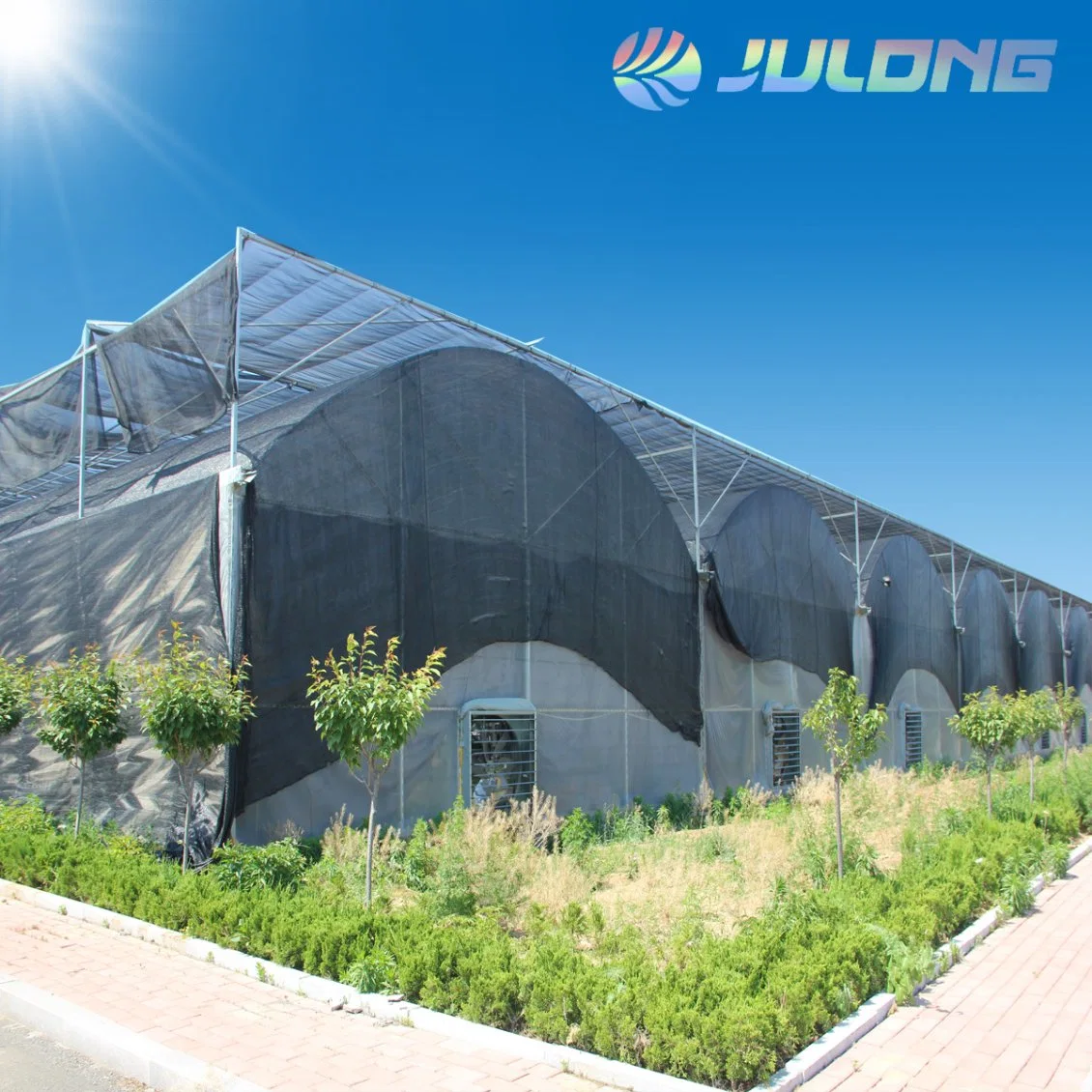 The Lowest Price Hot Sale Julong Agriculture Commercial Industrial Plastic Film Greenhouse