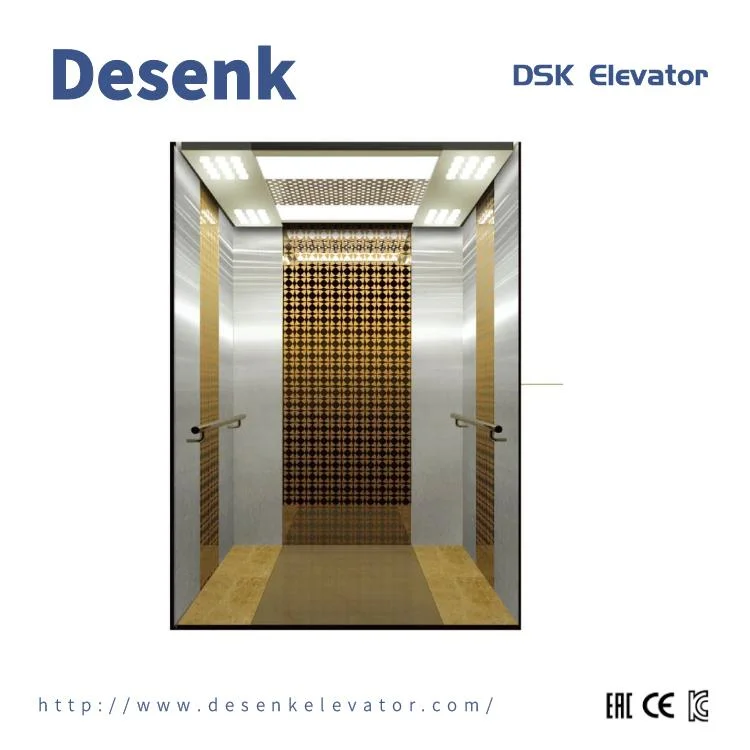 Desenk Passenger Lift Home Lift Villa Lift with Good Quality Elevator Motor