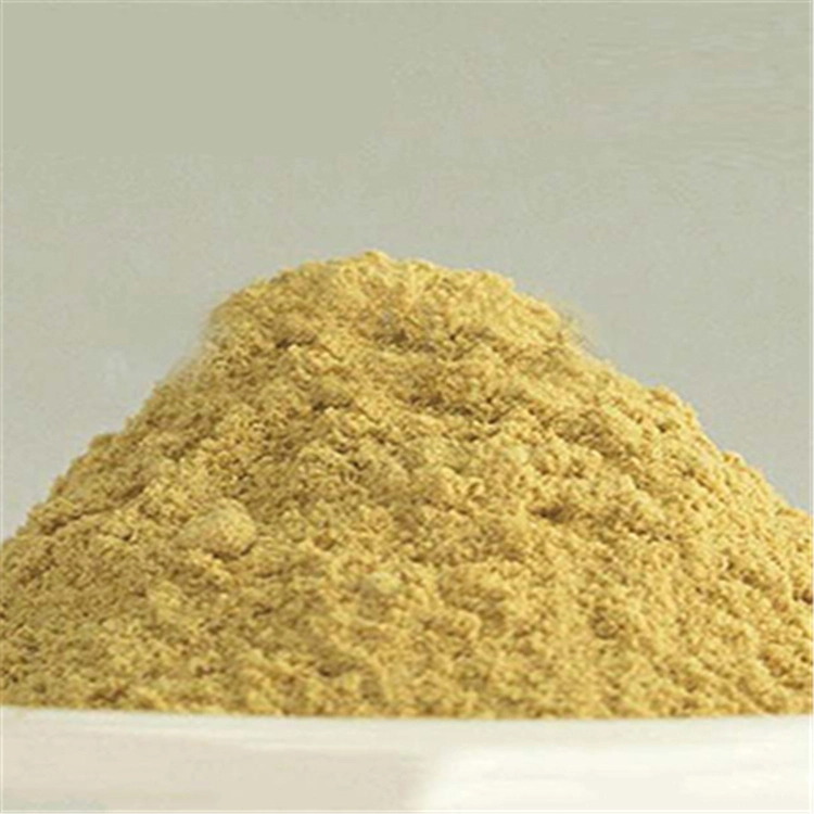 OEM/ODM Grain Dietary Fiber Powder to Keep Fit and Healthy