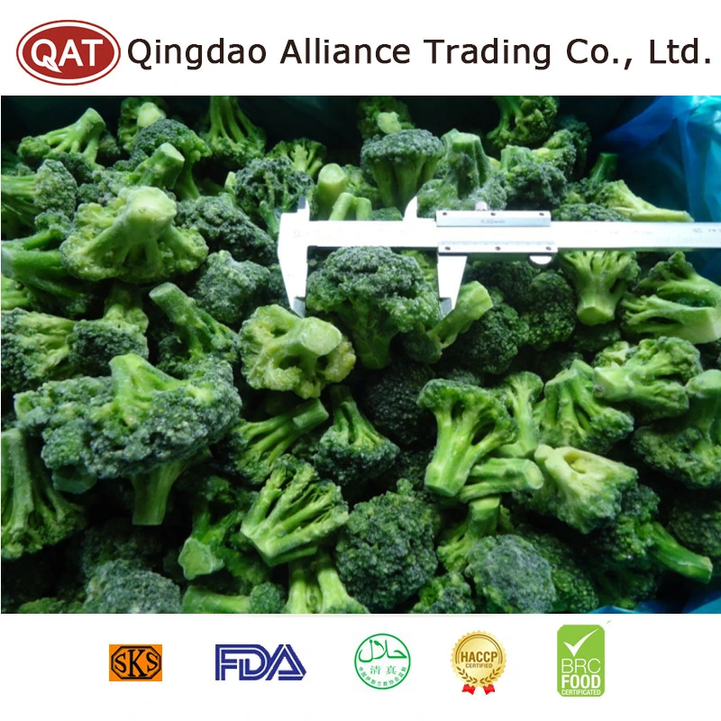 Factory Price New Crop Vegetables Kosher IQF Frozen Green Broccoli with Cut Whole Floret in Bulk Retail Packing for Selling