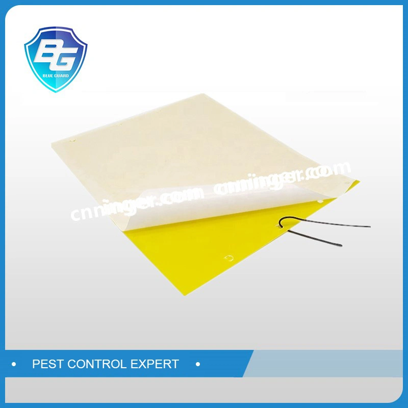 Insect Glue Trap, Double Sides Glue Coated Yellow PP Board