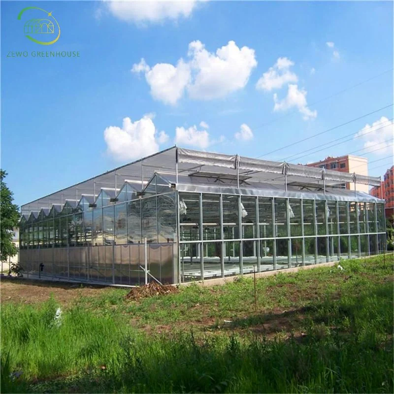 Landwirtschaftliche Stahl Struktur Glas Gewächshaus mit Heizung für Hydrokultur/Erdbeere/Gemüse/Blumen