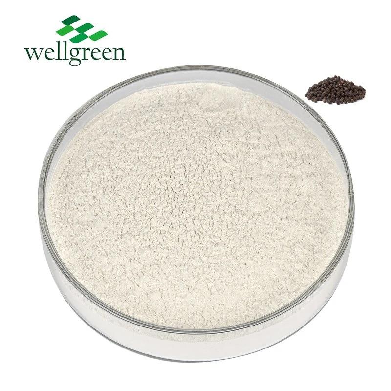 Health Supplement Black Pepper Extract Powder Bioperine 98% Nigrum Extract Powder