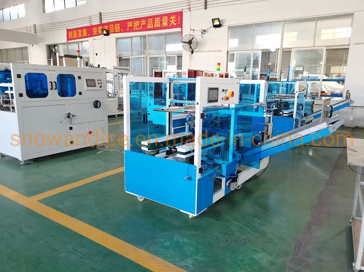 Top Loading Automatic Case Packer Less Than 80 dB