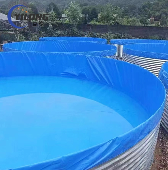 Recirculating Aquaculture System Water Tank Fish Farm Plastic Fish Farming Tank