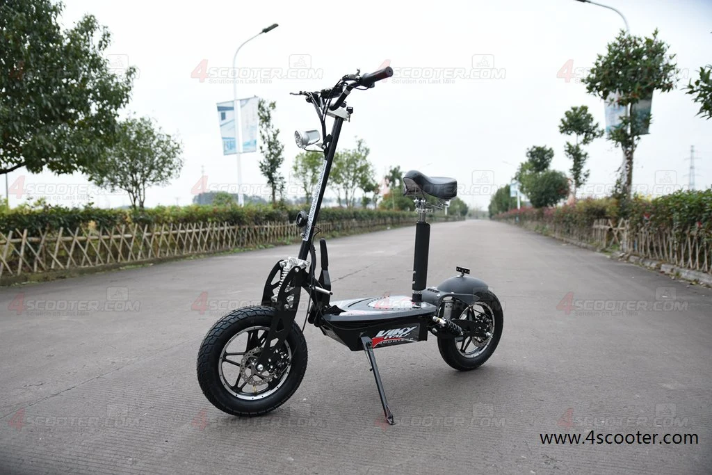 Foldable 1000W 48V Electric Scooter with Big Tire