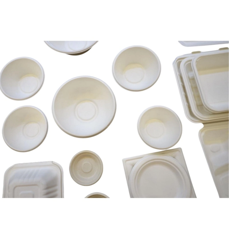 Lunch Box Bagasse Pulp Food to Go Compostable Lunch Box Made From Bagasse Pulp Fiber