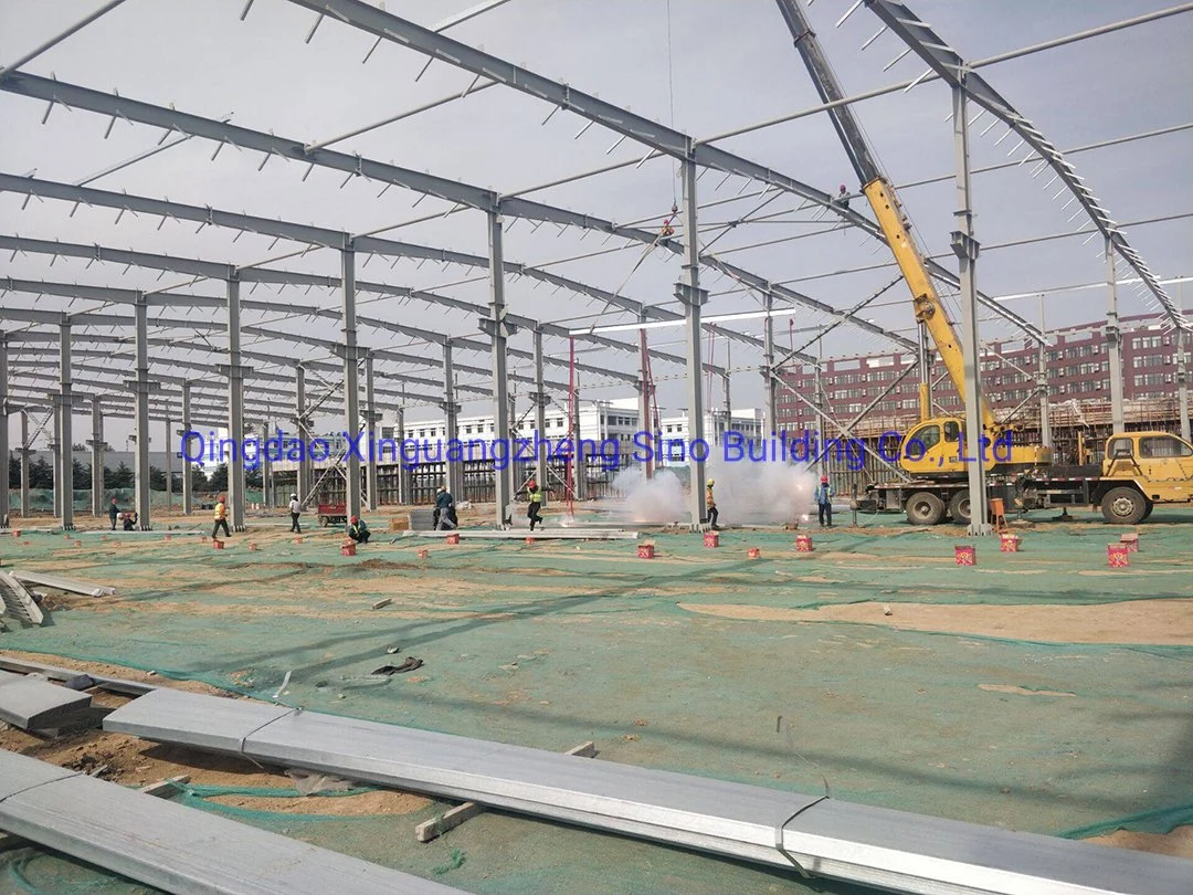 China Prefabricated Steel Structure Workshop Warehouse Chicken Processing Plant