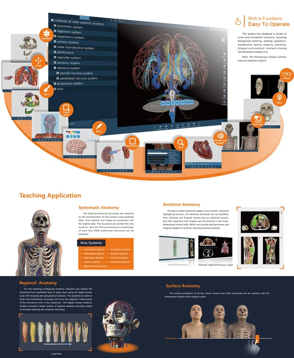 Écran tactile 3D de l'enseignement Anatomie Anatomie table virtuelle