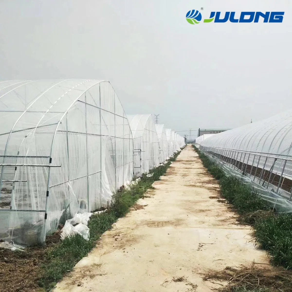 Good Quality Steel Structure Garden Greenhouse Hydroponic Growing Systems for Vegetables