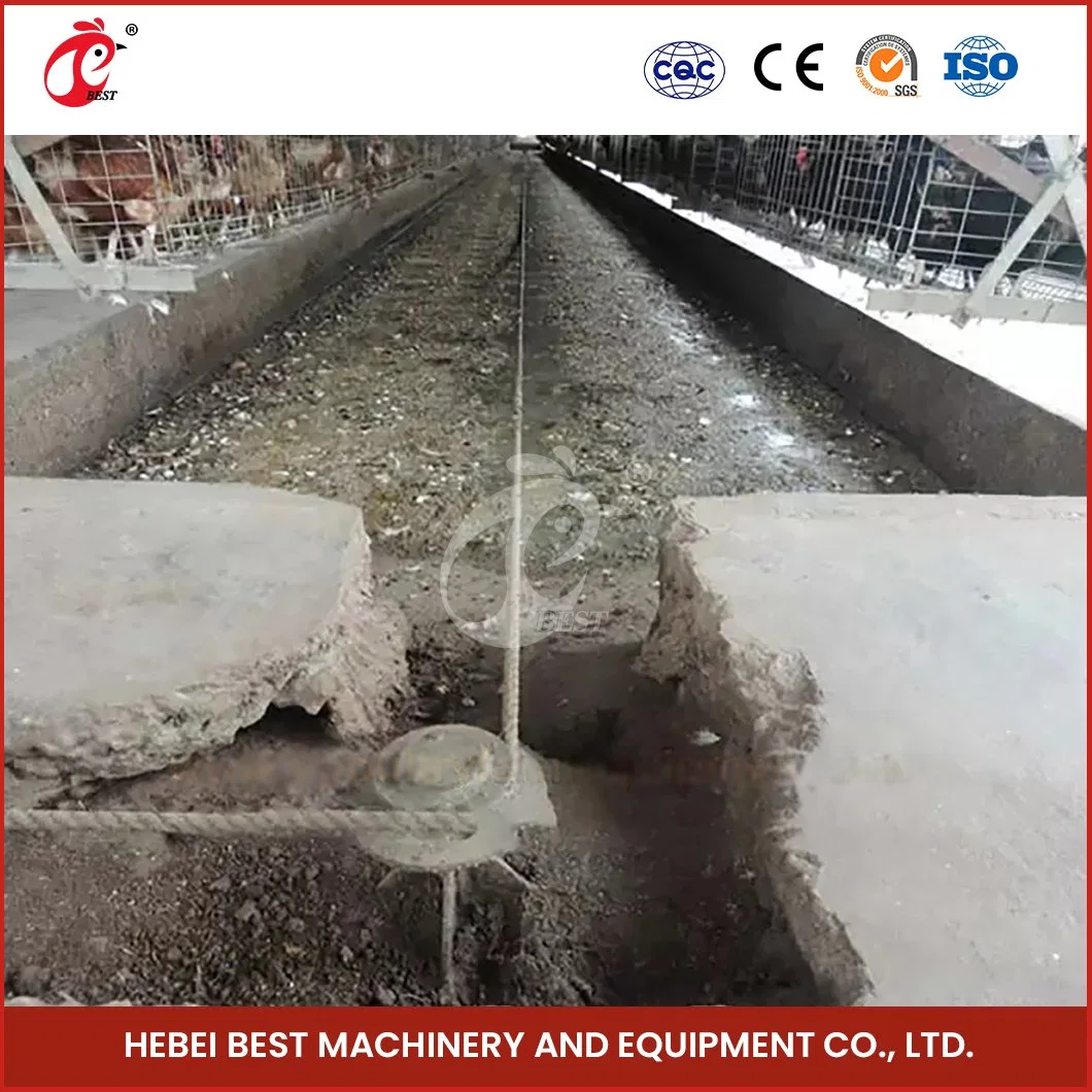 Bestchickencage Manure Removal System China Layer Farm Manure Scraper Factory OEM Custom High Capacity Pig Manure Removal Machine