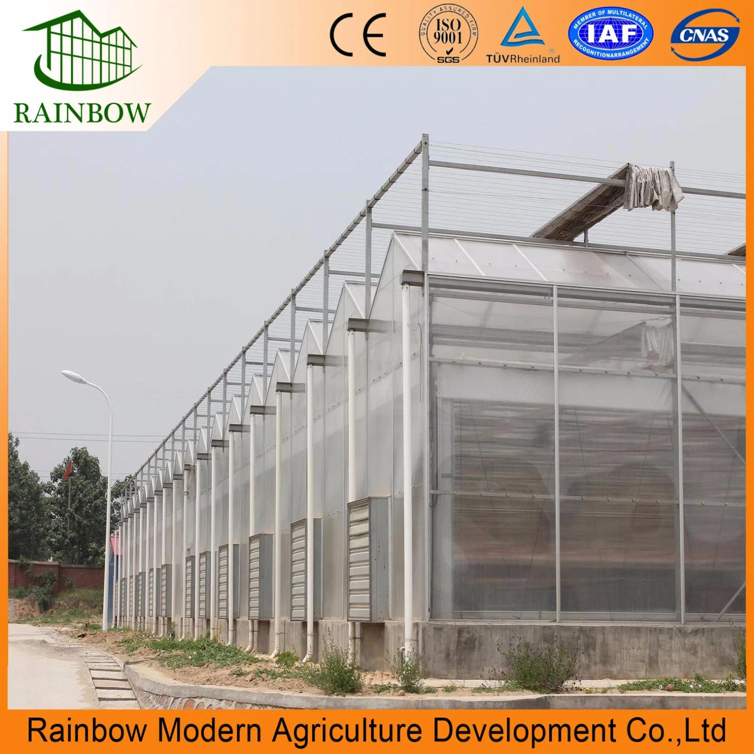 Hot-DIP Galvanized Steel Structure Greenhouse for Vegetables