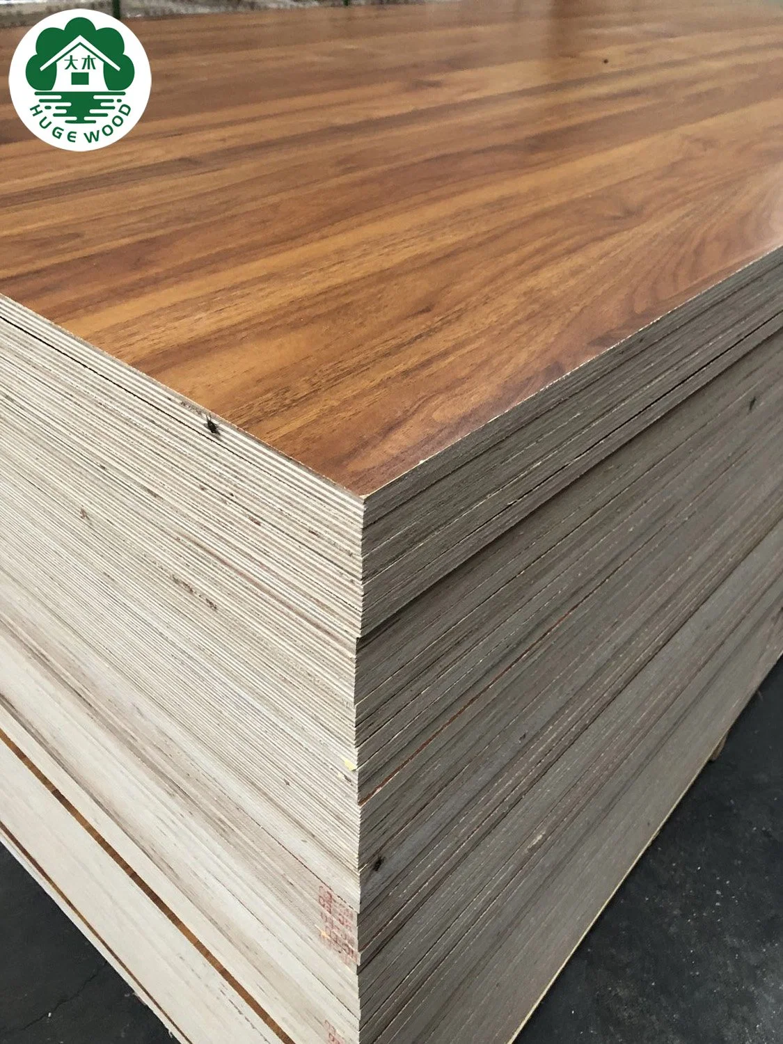 Oak Poplar Veneer Plywood Board with Melamine Paper Plywood Sheet