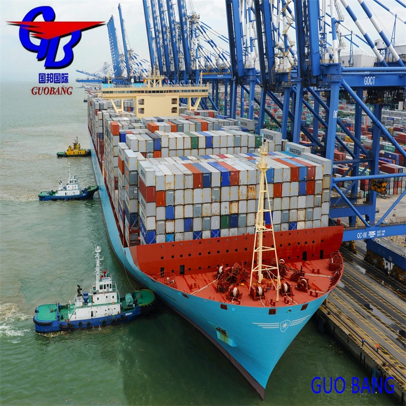 The Best Sea Freight Forwarders in China