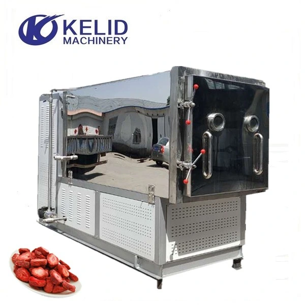 Dragon Fruit Mango Kiwi Fruits Industry Vacuum Freeze Drying Equipment