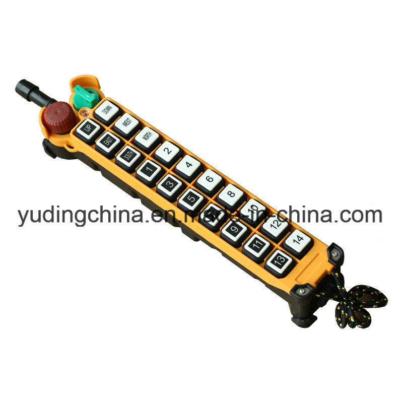 Hy Crane Wire Rope Heavy Duty Building Material Lift Winch Wireless Remote Control F21-20d