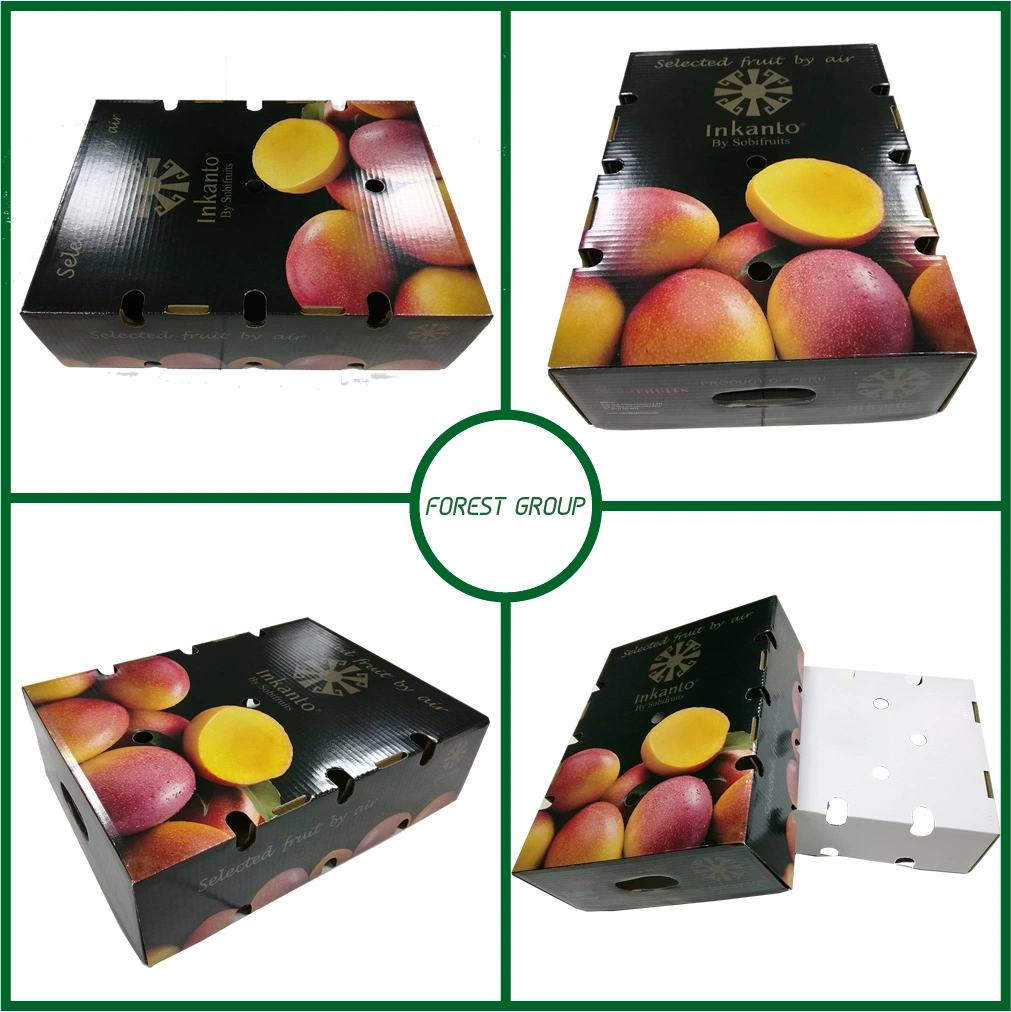 Custom Wax Dipped Fruits Packaging Corrugated Carton Box