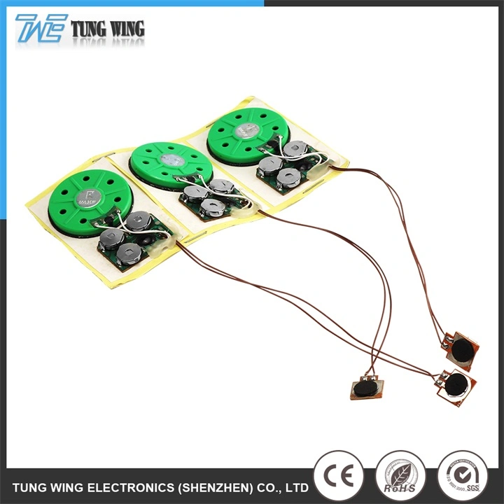 Recordable IC Sound Chips for Electronic Toys