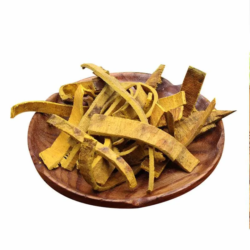 High Quality Huang Bai Traditional Chinese Herbal Medicine Golden Cypress