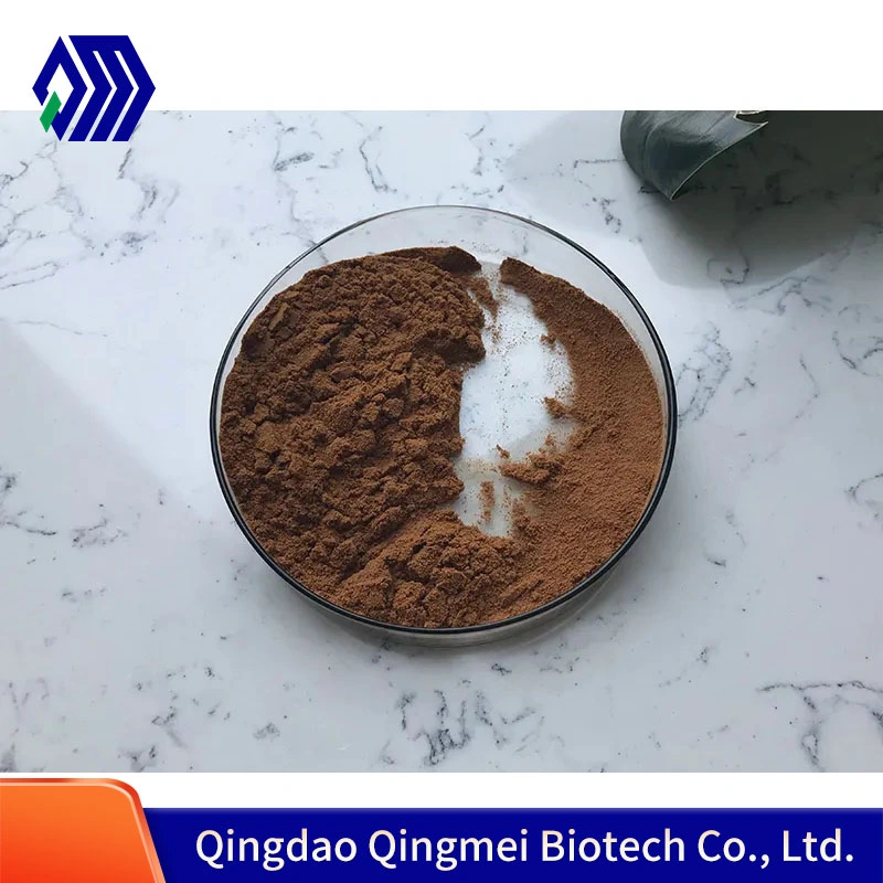 Factory Supply Sparassis Crispa Extract Powder Polysaccharides10%-50%