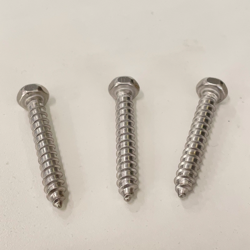 Stainless Steel Tapping Screw SS304 Pan Head Self Tapping Screws