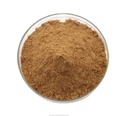 Hot Sale Natural Spine Date Seed Extract Powder Jujuba Jujubosides Semen Ziziphi Spinosae Extract