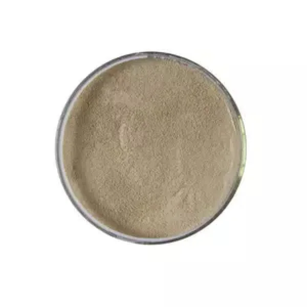 Poudre microbienne biologique agricole Bacillus licheniformis Biofertilizer