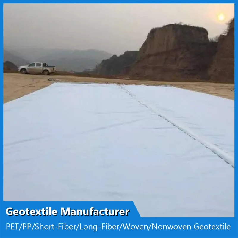 Geotextile Filter Fabric for Slope Dam 300g Fabric Non Woven Geotextile Construction