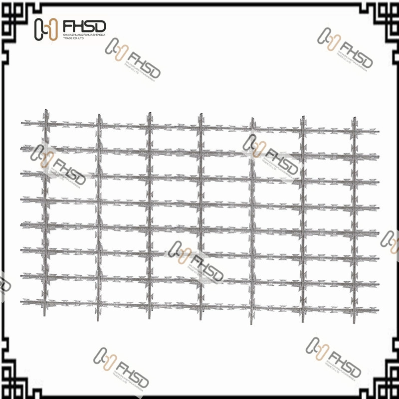 Hot-Dipped Galvanized (Customized) Iron/Steel/Stainless Steel Wire Bto-30 Welded Razor Wire Square/Rectangle/Diamond Anti-Climbed Mesh