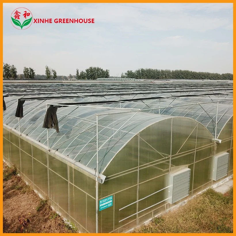Tunnel Garden Warm Agro Multi Span Greenhouse with Shading System