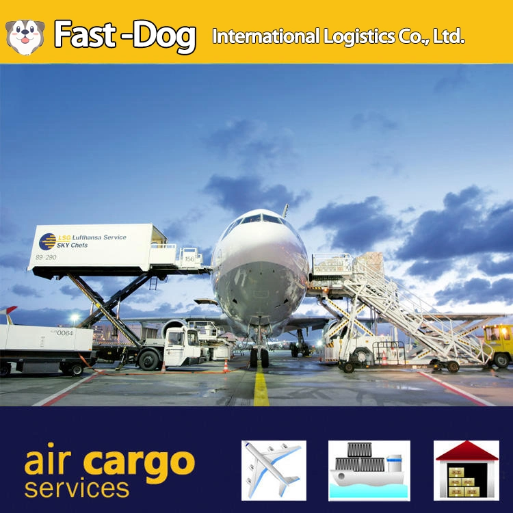 Cheap DDP Air Sea Freight From China to Germany UK France Italy Door to Door Airline Shipping Agent