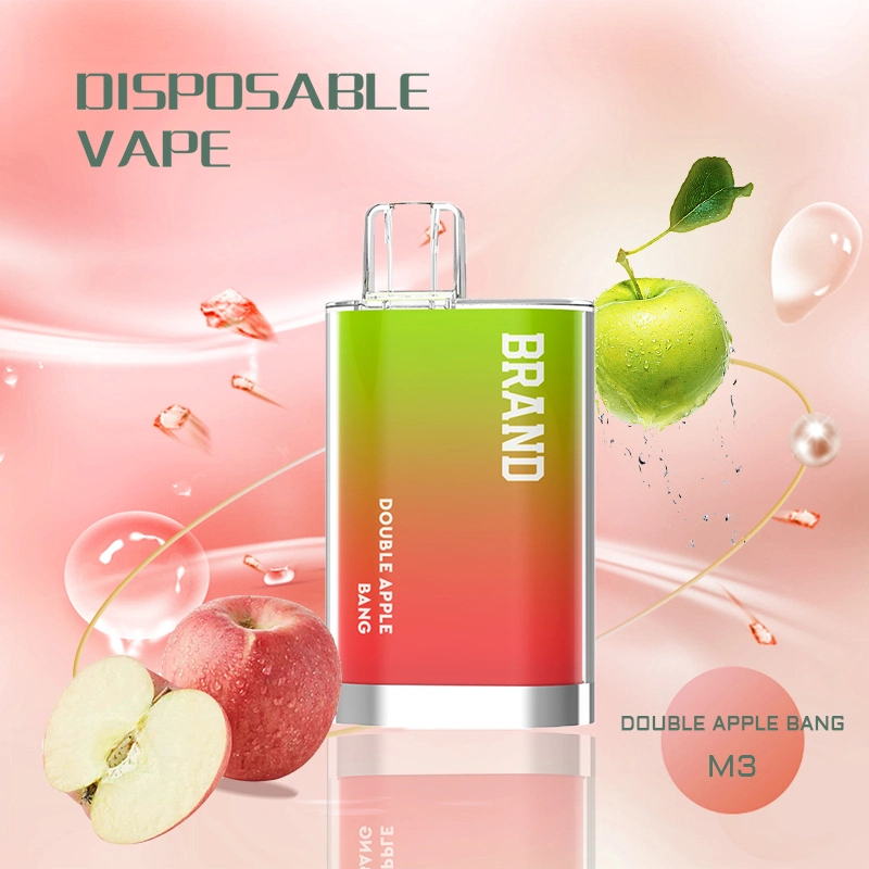 New Disposable/Chargeable E Cig Electronic Cigarette Smoking System 2ml 600 Puff Vaporizer Wholesale/Supplier Disposable/Chargeable Vape